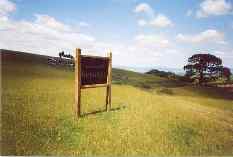 Welcome to Hobbiton